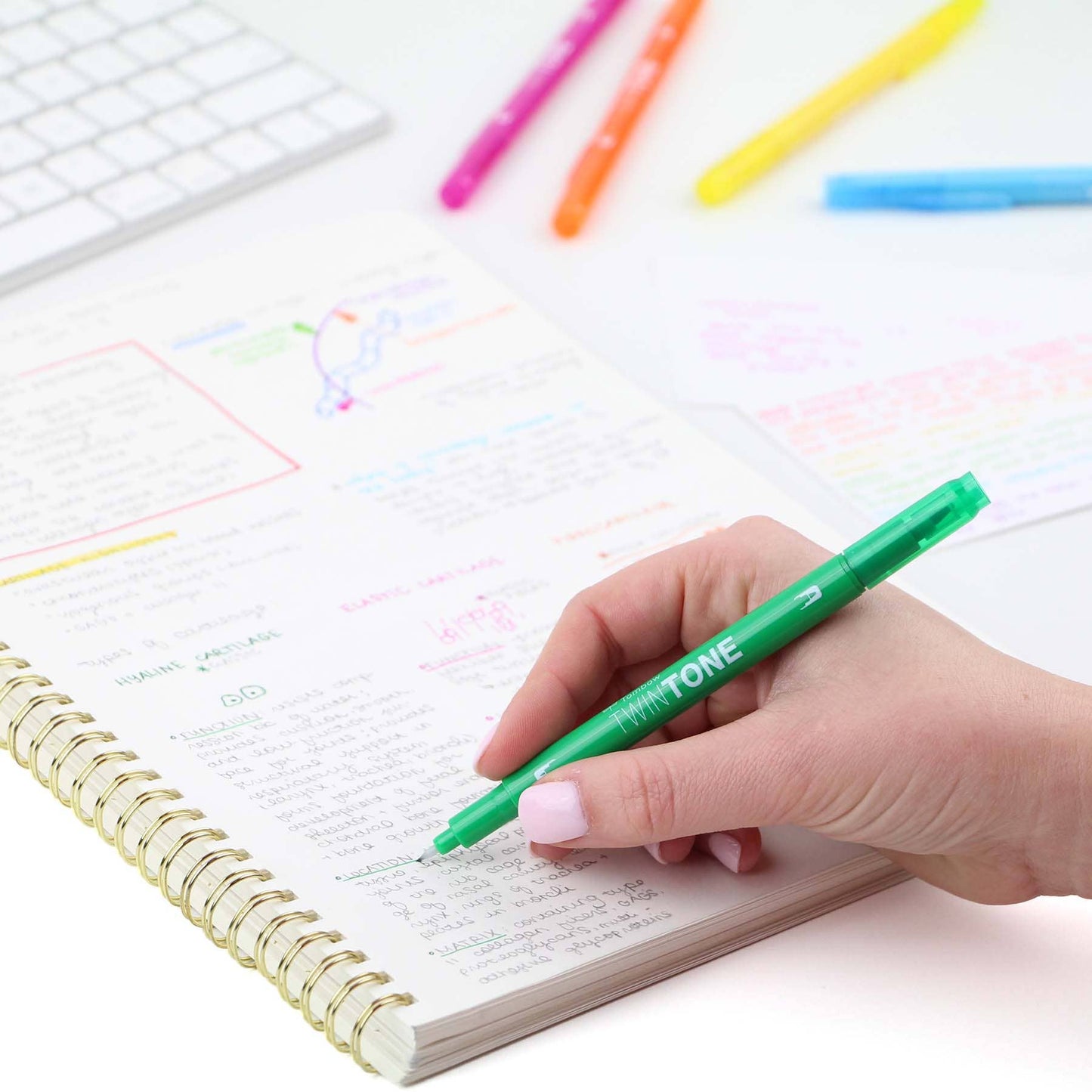 Tombow - TwinTone Marker Set: Rainbow - 12-Pack