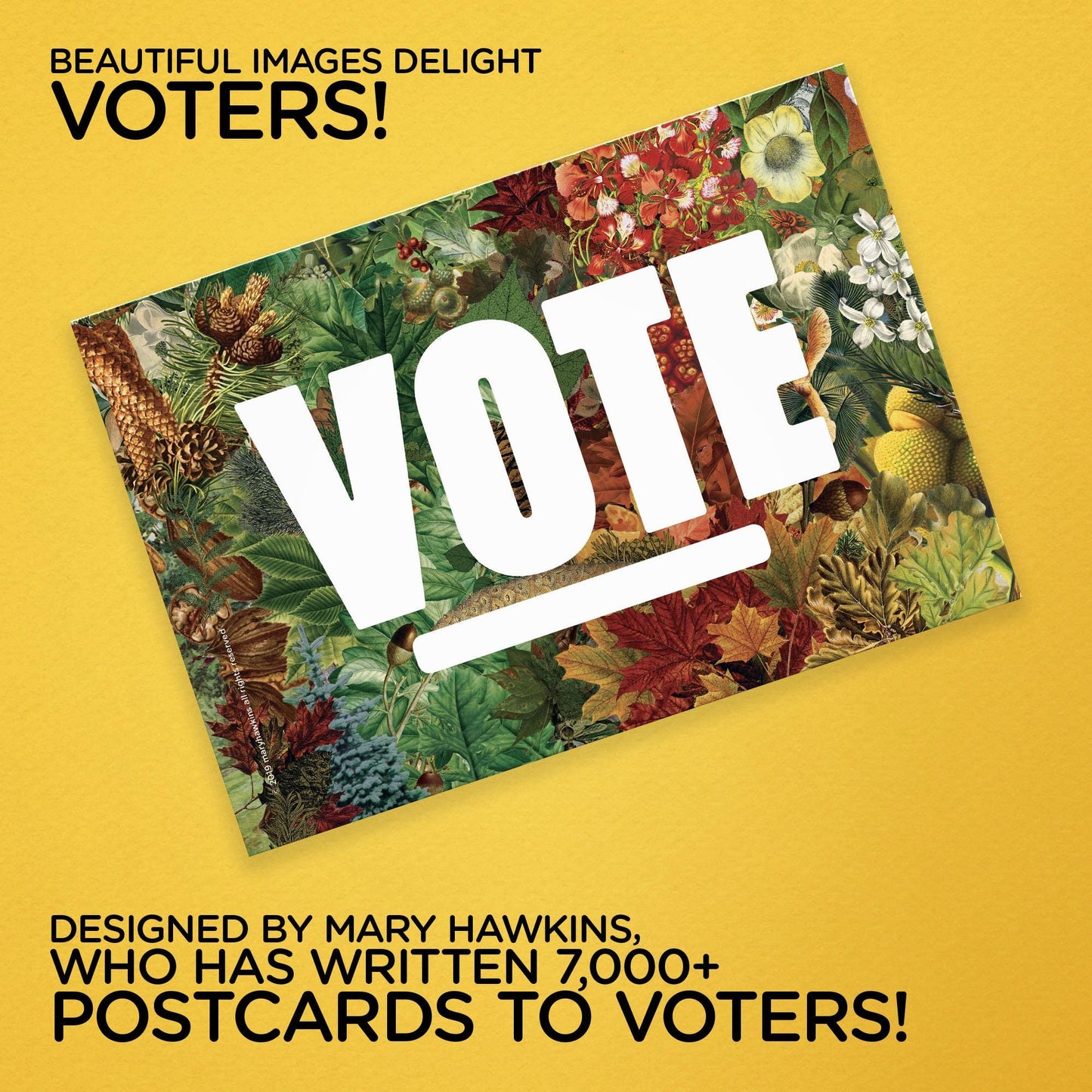 Mary Likes Postcards State Trees! Set of 100 vote postcards, perfect for postcards to voters.