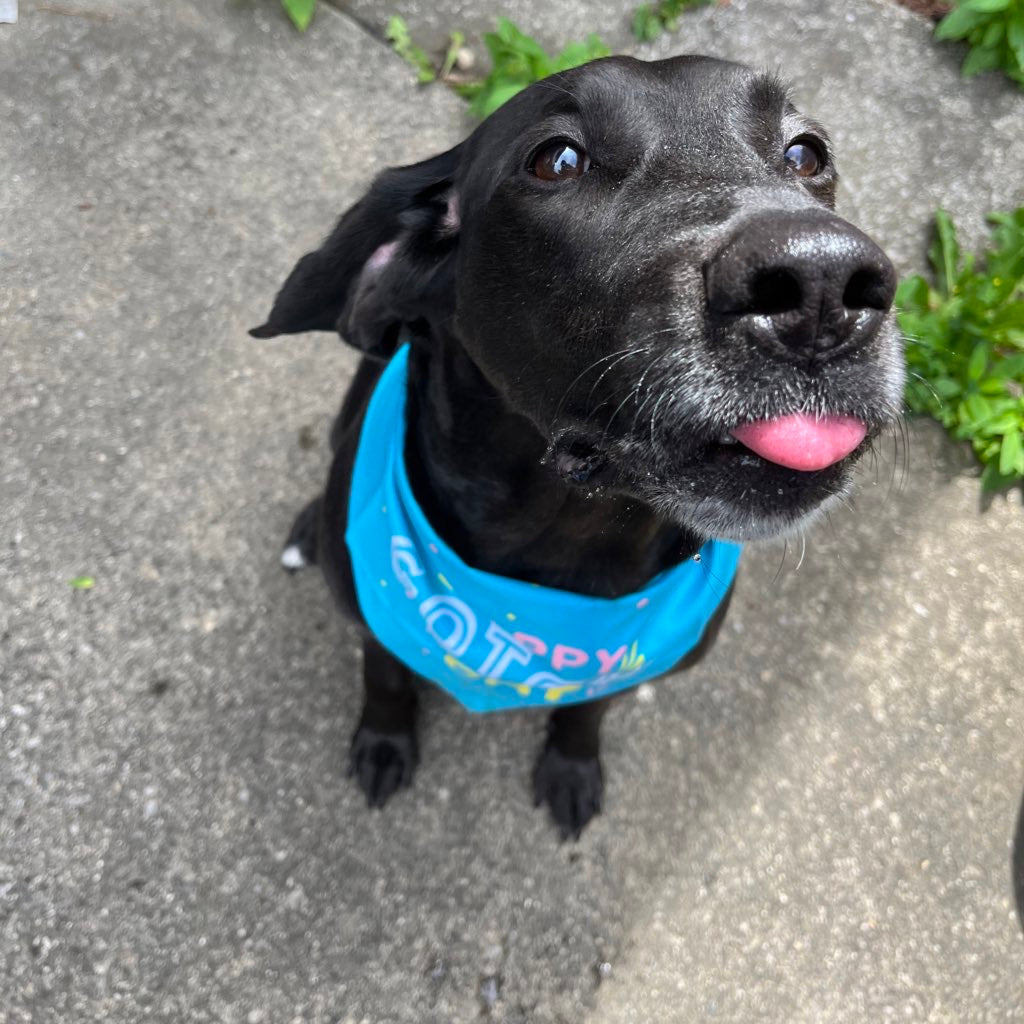 Maddy Sniffspection