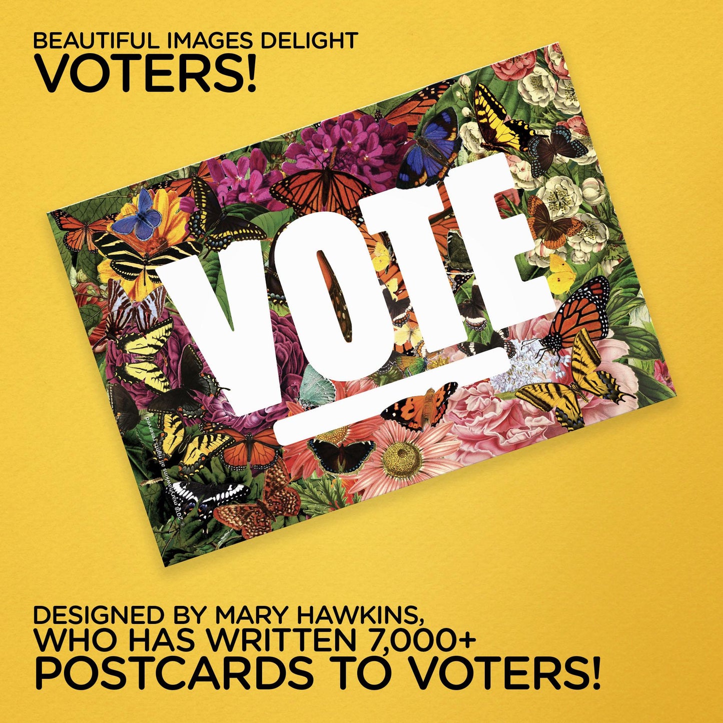 Mary Likes Postcards State Butterflies: Set of 100 vote postcards, perfect for Postcards to Voters and other get out the vote campaigns.