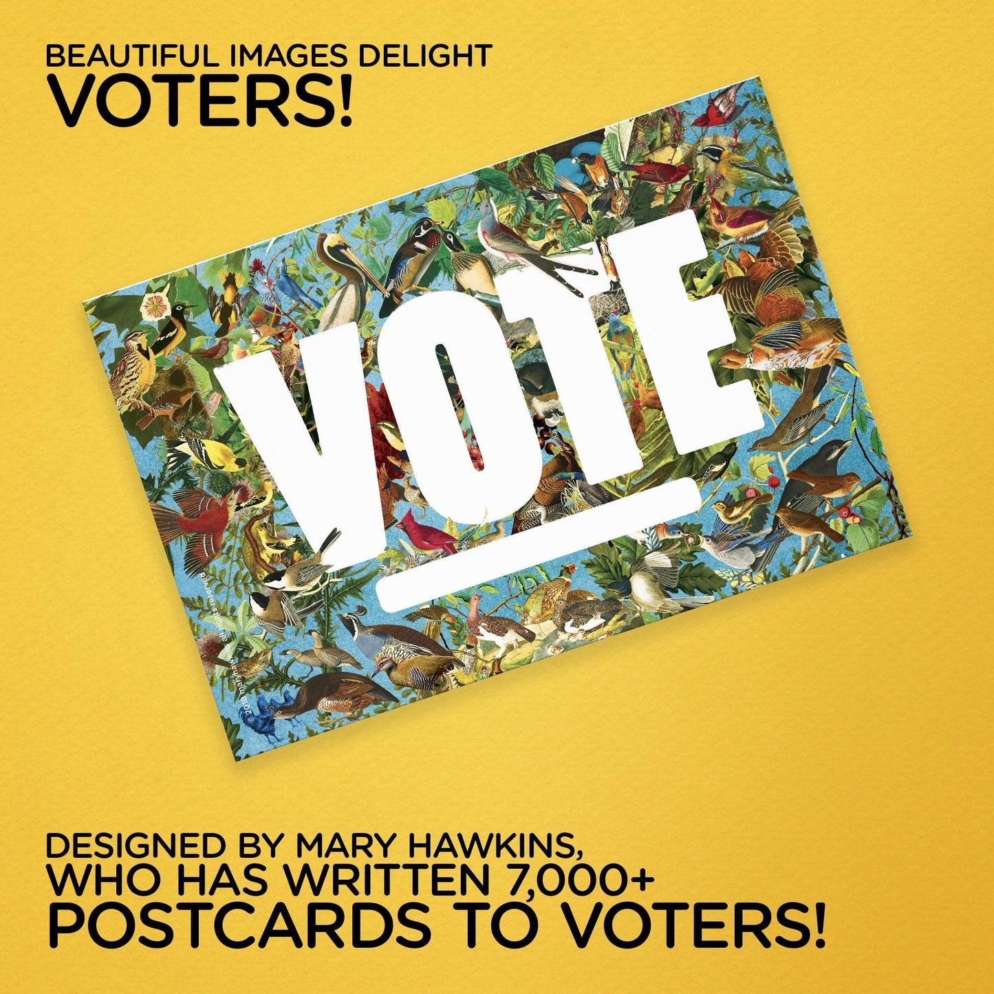 Mary Likes Postcards State Birds: Set of 100 vote postcards, perfect for Postcards to Voters and other get out the vote campaigns.