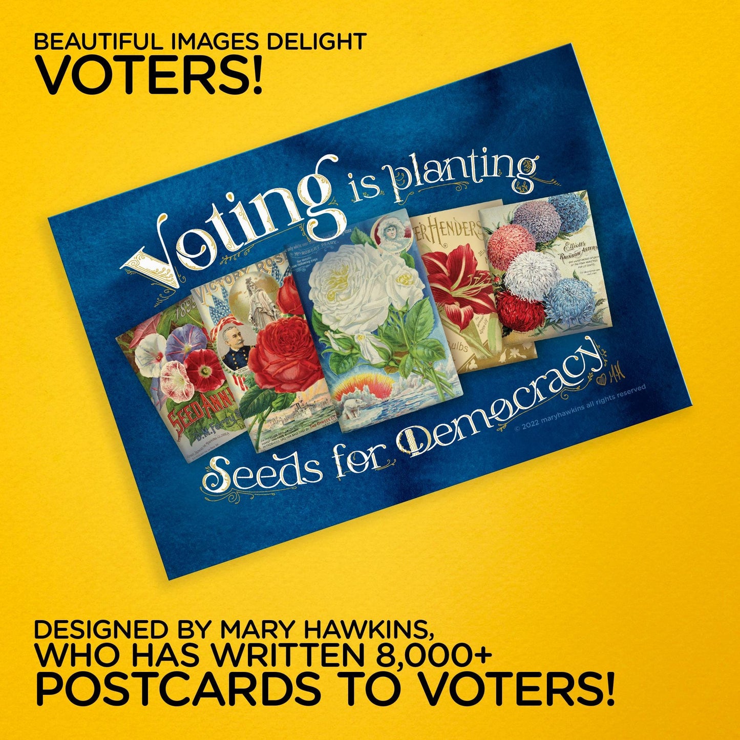 Mary Likes Postcards Set of 100 "Seeds for Democracy" postcards, perfect for Postcards to Voters and other get out the vote campaigns.