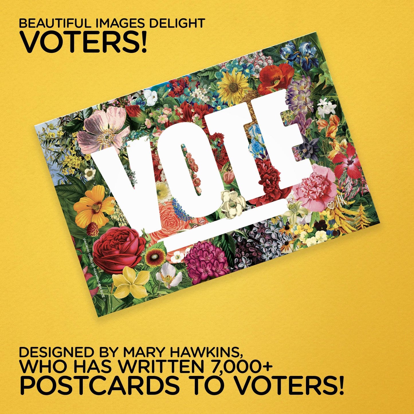 Mary Likes Postcards State Flowers! Set of 100 vote postcards, perfect for postcards to voters.