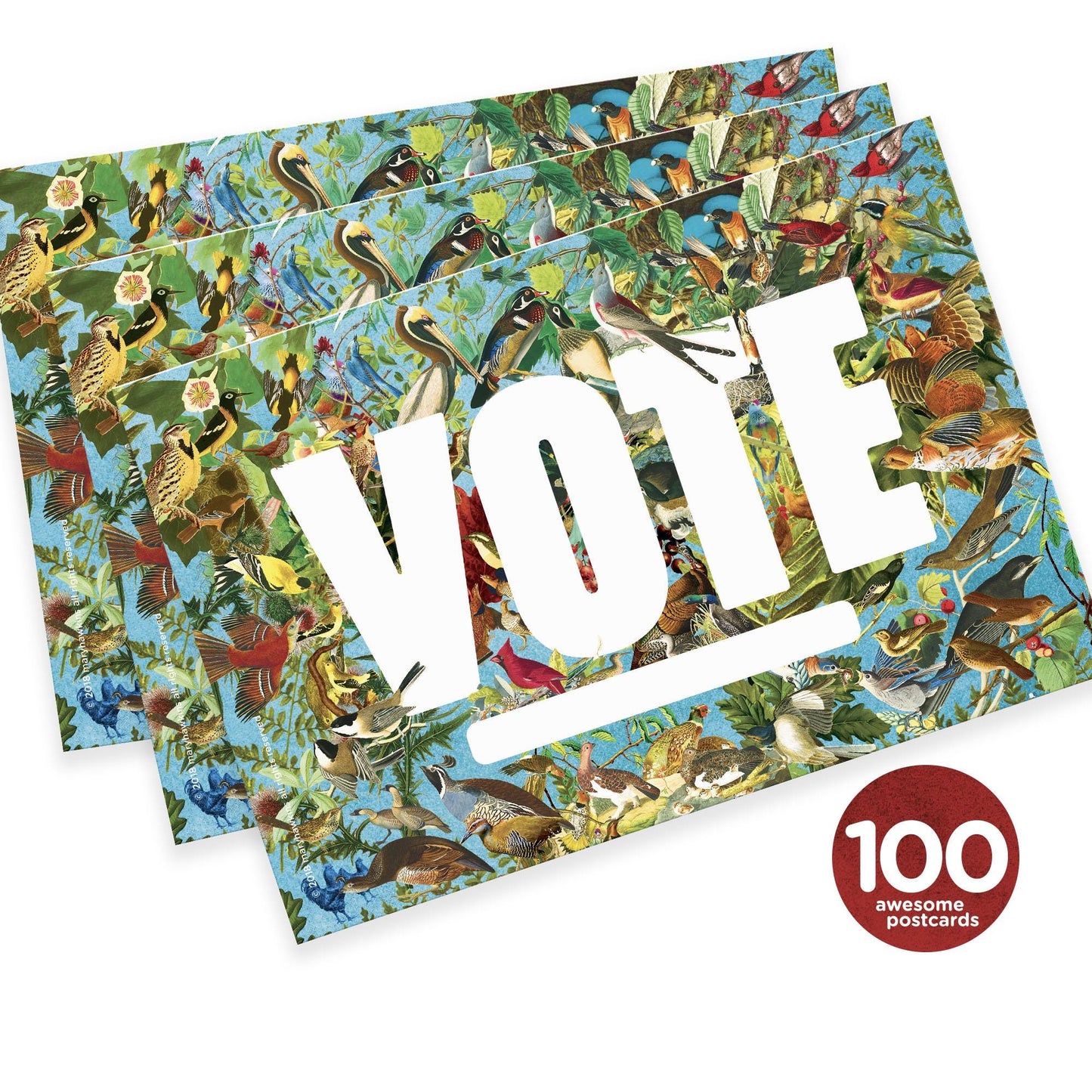 Mary Likes Postcards State Birds: Set of 100 vote postcards, perfect for Postcards to Voters and other get out the vote campaigns.