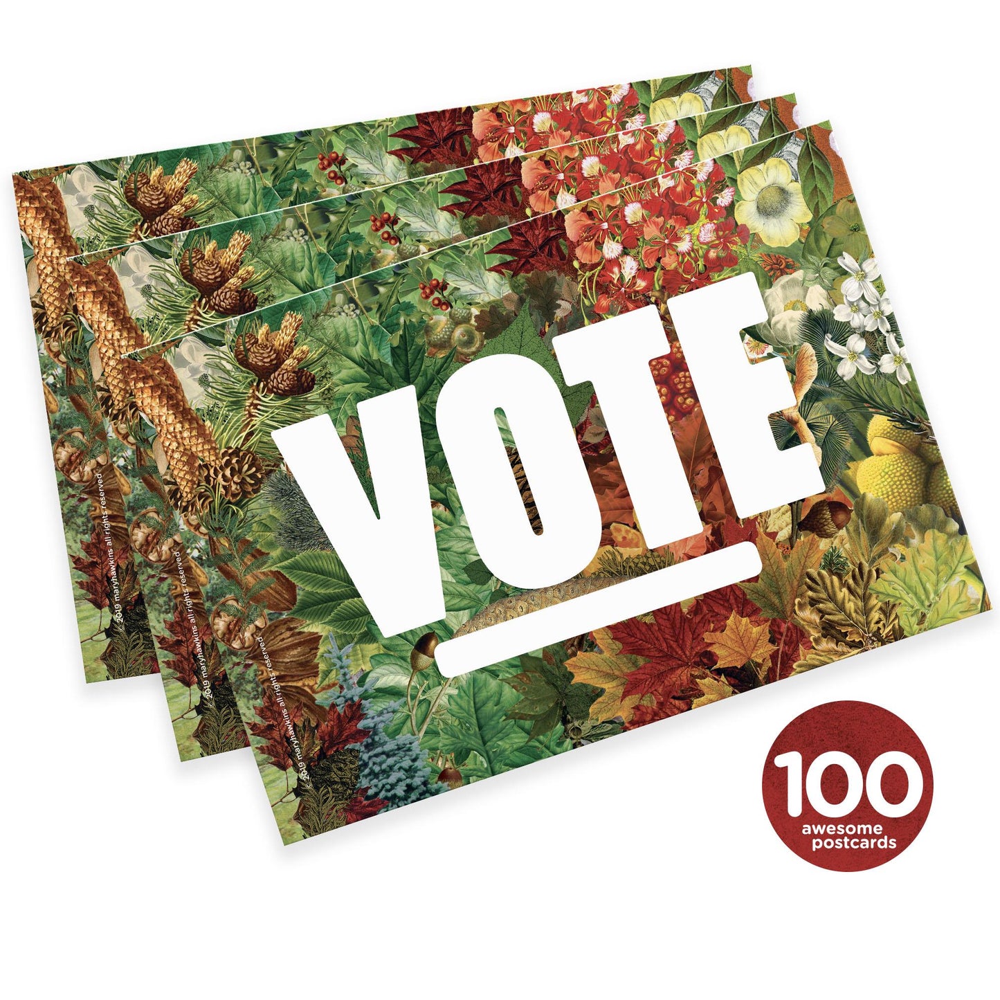 Mary Likes Postcards State Trees! Set of 100 vote postcards, perfect for postcards to voters.